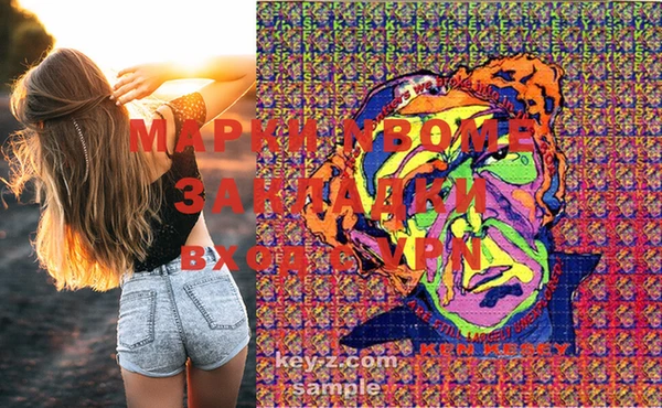 шишки Балахна