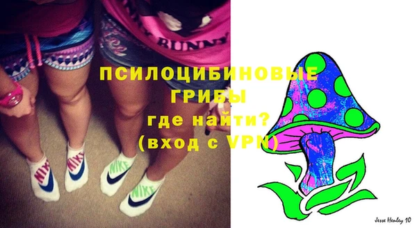 шишки Балахна