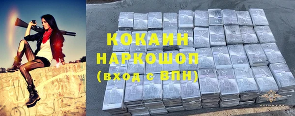 шишки Балахна