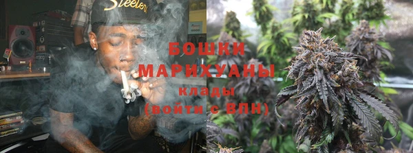 шишки Балахна