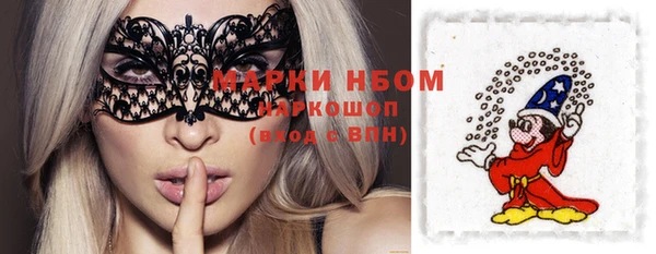 шишки Балахна